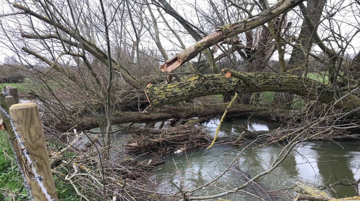 The changing approach to river&nbsp;management