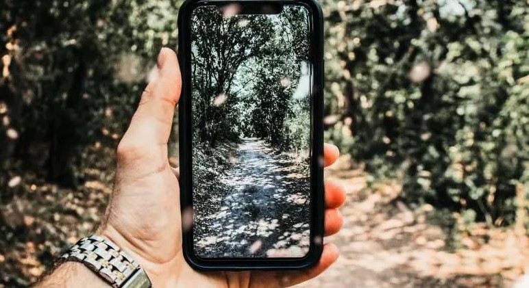 Where wi-fi meets&nbsp;wildlife