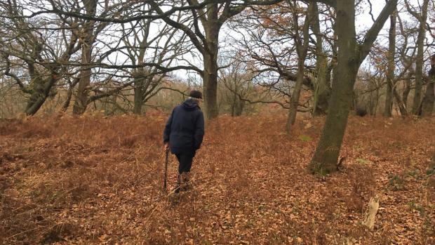 Take a leaf from Andrew’s&nbsp;book