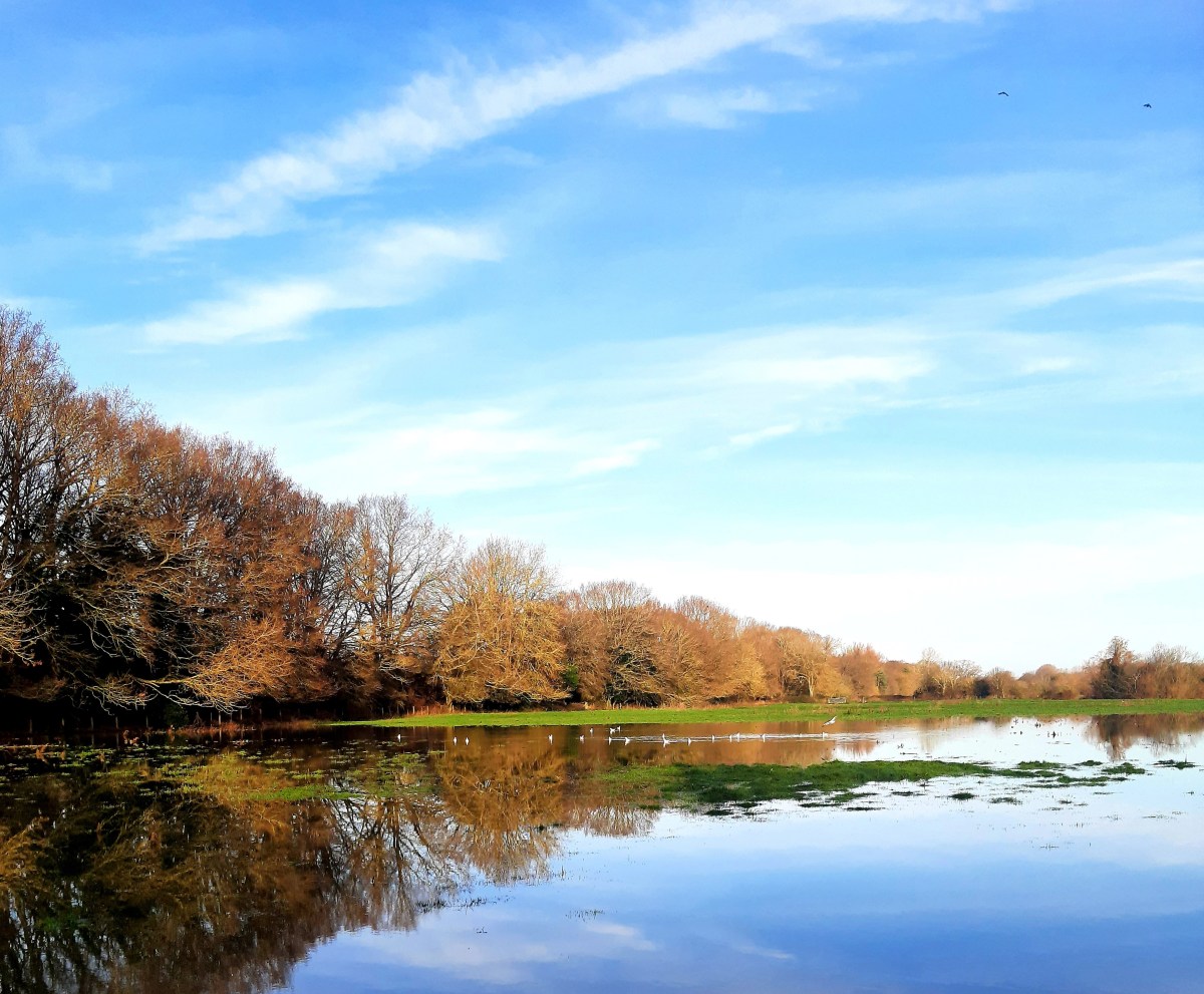 Blue is the&nbsp;colour